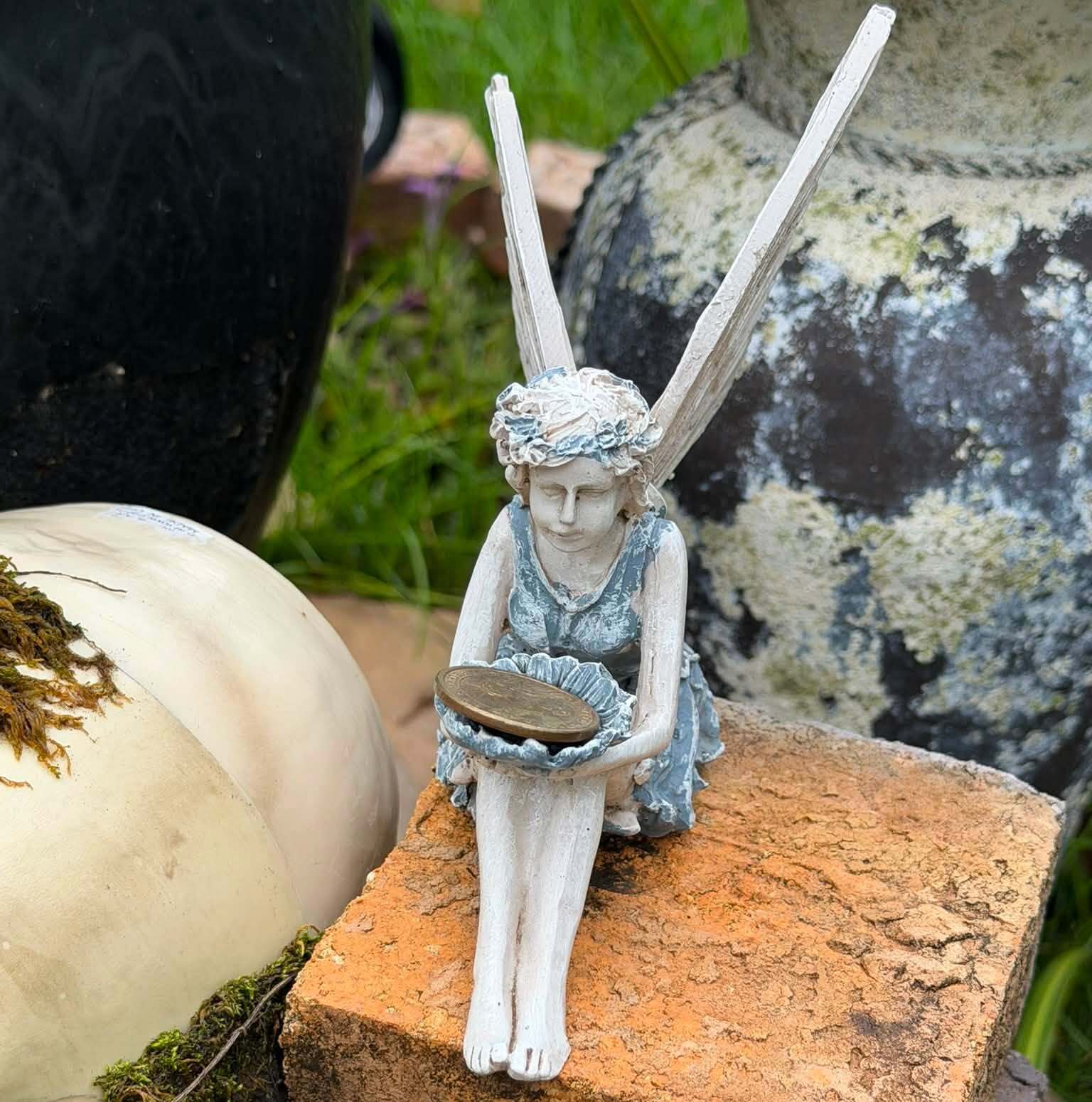 fairy